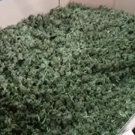 La Guardia Civil confisca el mayor alijo de marihuana encontrado hasta el momento