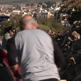 Leña: la alternativa a la crisis energética