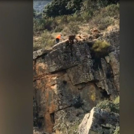 Público al Día - 19 de noviembre de 2018