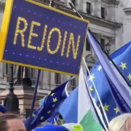 Decenas de personas piden en Londres reincorporarse a la Unión Europea  