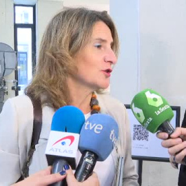 Ribera recuerda al presidente de Iberdrola la necesidad de "aportar" en estos momentos "complicados"