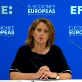 Ribera ve "genocidio" en Gaza pero dice que serán los tribunales los que lo determinarán