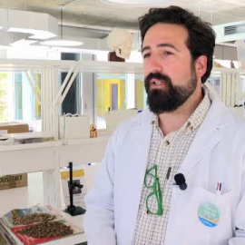 Un cráneo revela que los egipcios intentaron operar un tumor hace más de 4000 años