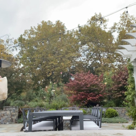 Gasol, Fernando Alonso, Carolina Marín y Bisbal se suman al reto #fruitimpact