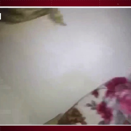 El ejército israelí ataca con un perro a una anciana palestina