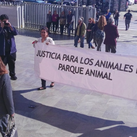 La presidenta del Parque Animal de Málaga es condenada a casi cuatro años de prisión por maltrato animal. Europa Press