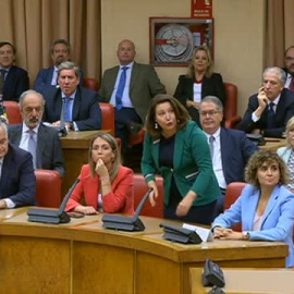Los eurodiputados recogen su acta en el Congreso