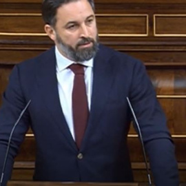 Abascal en el Congreso: "No necesitamos miles de inmigrantes ilegales al año para pagar las pensiones"