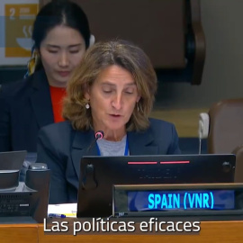 Ribera y Bustinduy en la ONU a favor de cooperación internacional frente al negacionismo