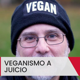 Veganismo a juicio