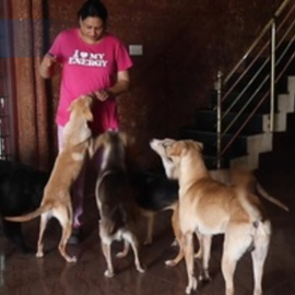 Decenas de perros rescatados conviven en un piso con una mujer en Bangalore