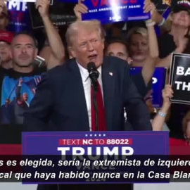 Trump continúa con su estrategia de polarización y llama a Kamala Harris "lunática"