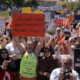 Protestan en Ankara en contra del proyecto de ley que permitiría el sacrificio de perros callejeros