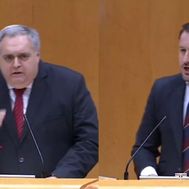 ¿Partido Popular o 'Partido Pinocho'? Discusión entre PSOE y PP en el Senado