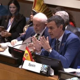 Pedro Sánchez alerta de que la democracia está en peligro