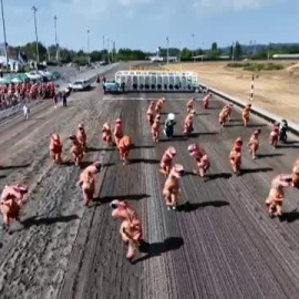 Decenas de Tiranosaurios Rex protagonizan una loca carrera en EEUU