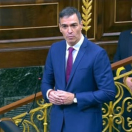 Sánchez, sobre el caso Koldo: "Es un caso de corrupción que lamento y pido disculpas"