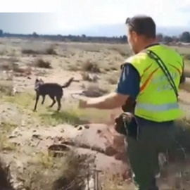 Labores de búsqueda en la zona del barranco de los Pelos en Chiva (Valencia)