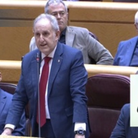 El PSOE se opone en el pleno del Senado al acta de la sesión anterior