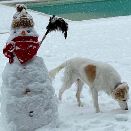 Malú enseña su jardín nevado adornado con un muñeco de nieve