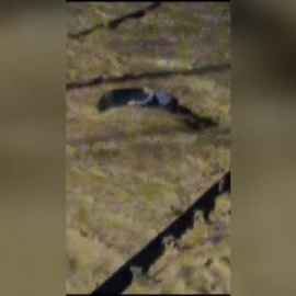 Los valencianos atestiguan el trágico paso de la dana por la Ribera alta