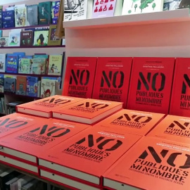 Fallarás vincula la dimisión "tan rápida" de Errejón a que sea "un hombre de izquierdas"