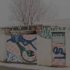 La Cañada Real, historia de una crisis