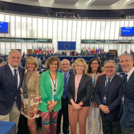 Esteban González Pons y Dolors Monserrat, junto con otros eurodiputados del PP en el hemiciclo del Parlamento Europeo. TWITTER/@DolorsMM