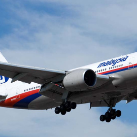 In memoriam vuelo 17 de Malaysian Airlines, derribado el 17 de julio de 2014 sobre la Cuenca del Don.