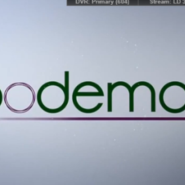 Se cumplen cinco años del nacimiento de Podemos
