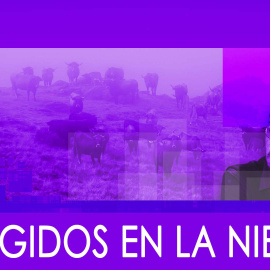 Monólogo: mugidos en la niebla - En La Frontera, 28 de Enero de 2020