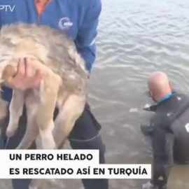 Público al Día - 27 de diciembre de 2018