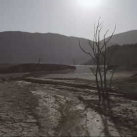 España verde: el Gobierno declara la emergencia climática