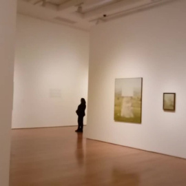 Retrospectiva de Vicente Ameztoy en el Bellas Artes de Bilbao