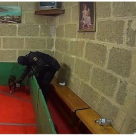 Fotografía facilitada por la Policía Nacional, que ha evitado la muerte de 230 animales de un circuito nacional clandestino de peleas de perros. - EFE