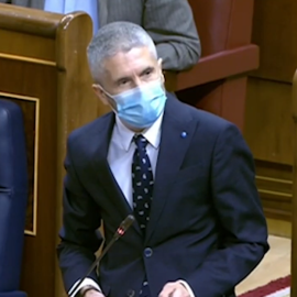 Marlaska, contundente con Ortega Smith: "Los demócratas no tenemos miedo al fascismo"