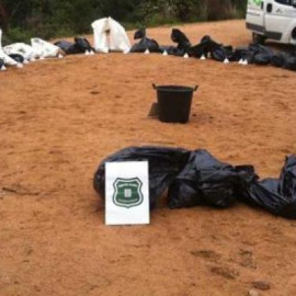 Agentes Rurales con varias de las bolsas con los animales dentro. Agents Rurals‏