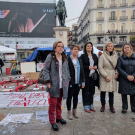 El PSOE pide retirar la multa a las Mujeres de Sol