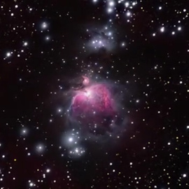 Las nuevas estrellas también regulan la génesis de compañeras próximas