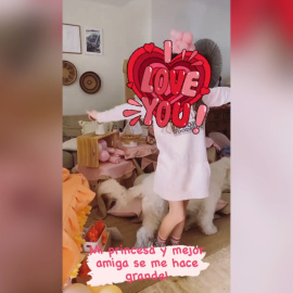 La "princesa" de David Bisbal y Elena Tablada cumple 11 años 