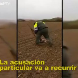 ¿Por qué maltratar a un zorro no es delito?