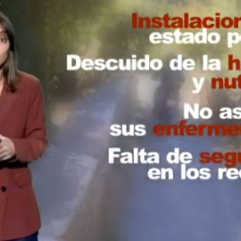 Casi 600 personas fueron investigadas en España en 2018 por maltrato animal