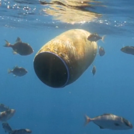 Ya no queda un solo ecosistema marino sin contaminar