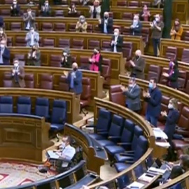 El Congreso, salvo Vox, ovaciona a las mujeres asesinadas por la violencia machista