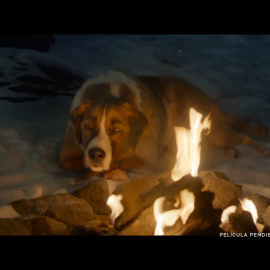 La adaptación de 'La llamada de lo salvaje' encabeza la cartelera