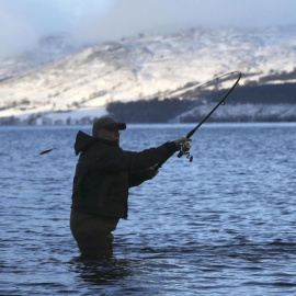 La mayoría de las comunidades autónomas han prohibido devolver al río los peces de especies invasoras tras tumbar el Supremo el Catálogo de Especies del Gobierno central./ Público