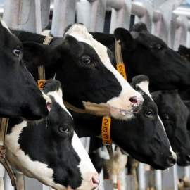 Imagen de archivo de una granja / EFE