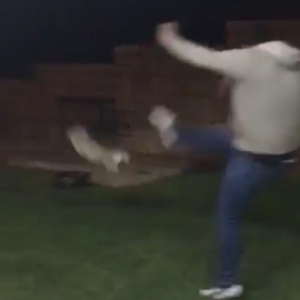 Captura del vídeo en el que se ve a un hombre propinando una patada a una gato.