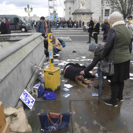 Una mujer yace en el suelo tras el ataque cerca del Parlamento de Londres. REUTERS/Toby Melville
