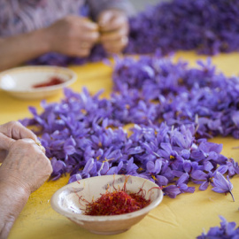 El estigma rojo de la flor del azafrán es una de las especias más antiguas y caras del mundo. / DOP Azafrán de La Mancha